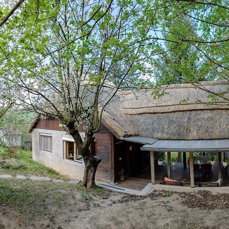 Rustic&Green Guesthouse For 6 People Free Airconditioner Free Coffee Balatonkenese Exterior foto
